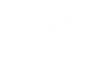 saudi-vision-2030 copy